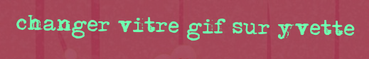 Changer vitre Gif sur yvette